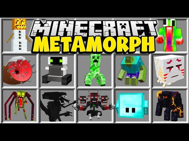 MetaMorph