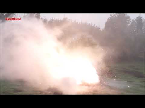 XXXL Firecracker vs Baum🧨💥💣