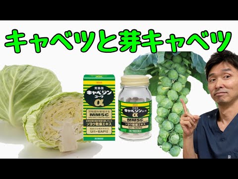 芽キャベツ:カロリーと栄養価が一目でわかる 植物