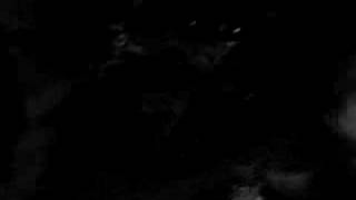 COACHWHIPS - LIVE AT UPSET THE RHYTHM