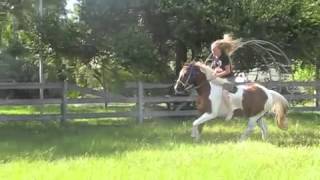 Making our Barrel Horses Jump!