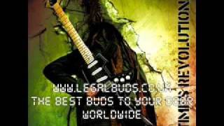 Grow Your Dreads - Alborosie - 2 Times Revolution - 2011 - Reggae - YouTube.flv