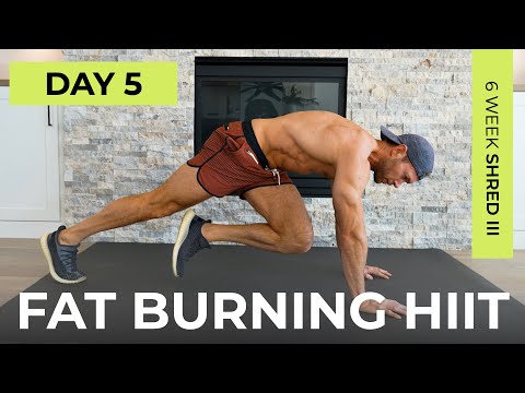 Day 5: 30 Min Full Body FAT BURNING HIIT Workout // 6WS3