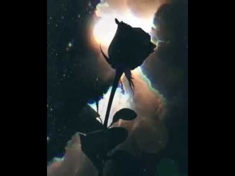 Mīraï.Jōke - D.R.I.L.L NC PART 1