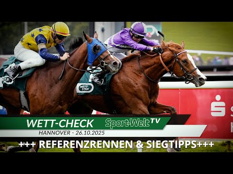 Wett-Check - Hannover 26.10.2025
