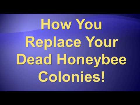 beemeetingpalmer04012016