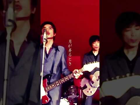 #theemichellegunelephant #ミッシェルガンエレファント #TMGE #ミッシェル#THEE30TH