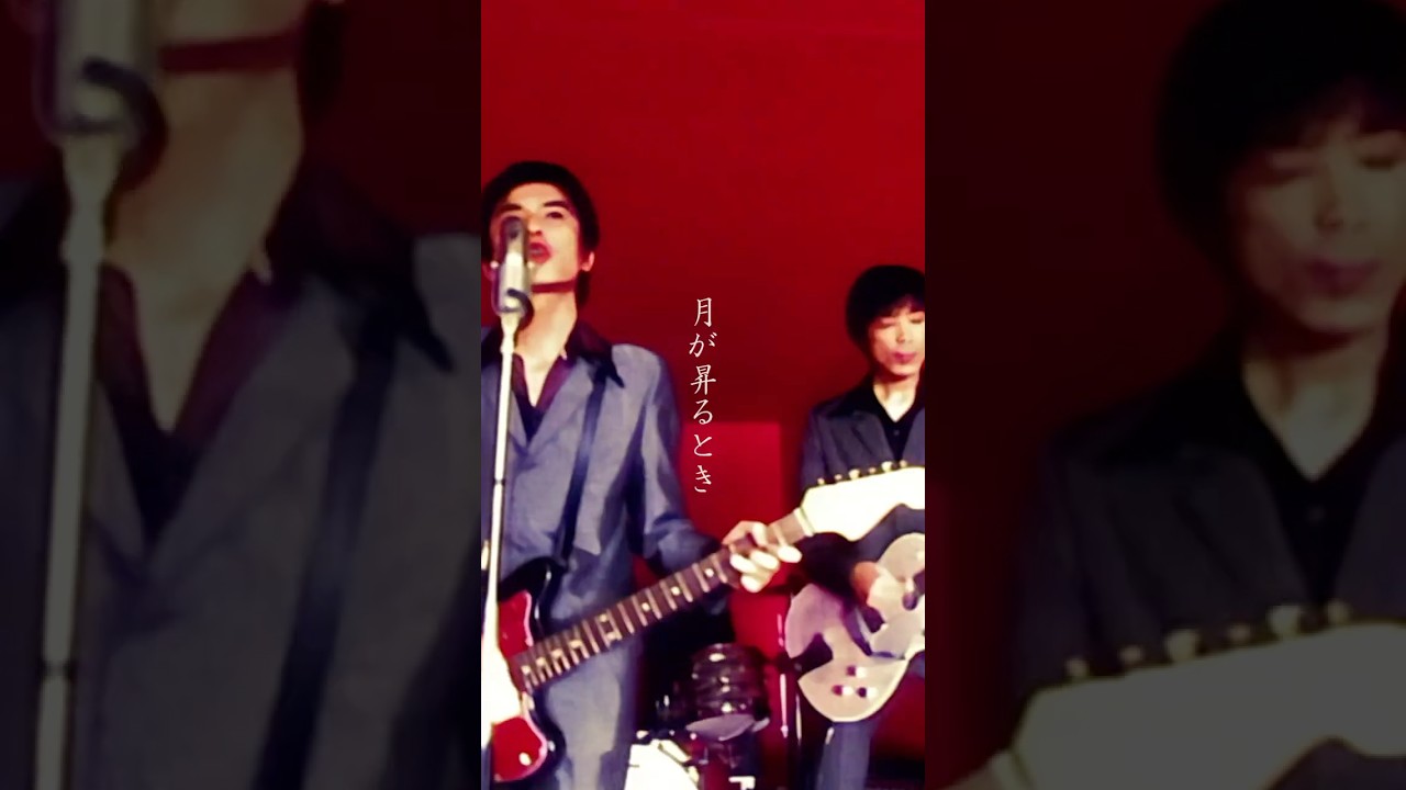 #theemichellegunelephant #ミッシェルガンエレファント #TMGE #ミッシェル#THEE30TH