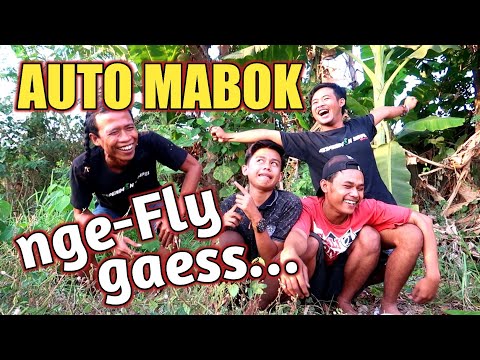 bikin-m4b0k-makan-coklat-dari-pohonnya-tanpa-sadar-jadi-bahagia-eksperimen-sempel-18