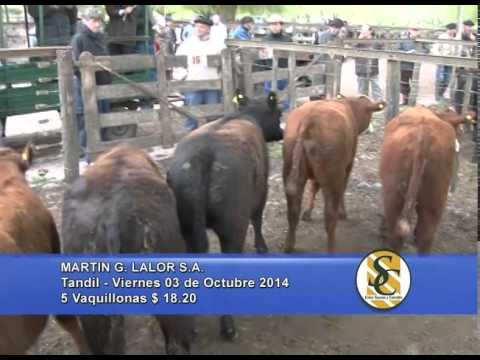 Martin G. Lalor S.A. - Venta Gordo - Tandil - 03/10/2014