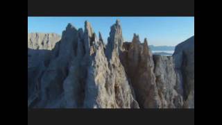 Niels van der Ree - Realize