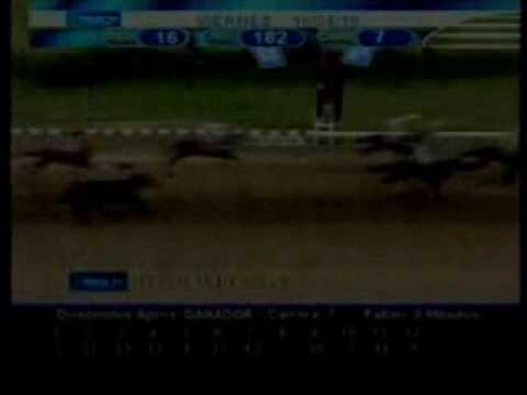 Resumen viernes 16 de abril 2010 - Valencia