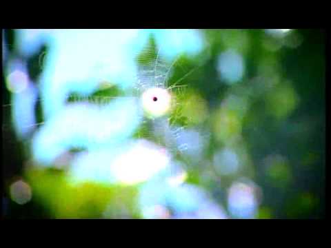 Blythedale Coastal Resort