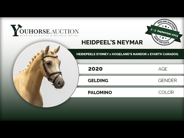 Heidepeels Neymar @ Home- Ridden