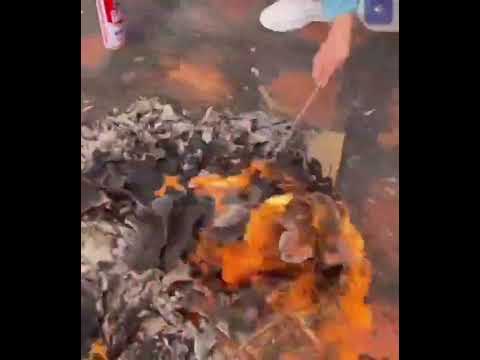 8 Inch Android 12 IP67 Rugged Tablet