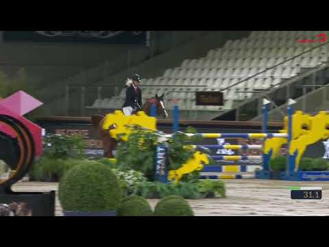 5 yr old class Zangersheide show Sentower