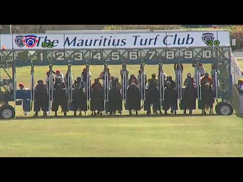 RM5 R2 | Moschino | J.Bardottier