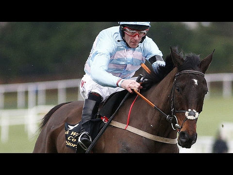 Some Plan - Frank Ward Solicitors Arkle Novice Chase