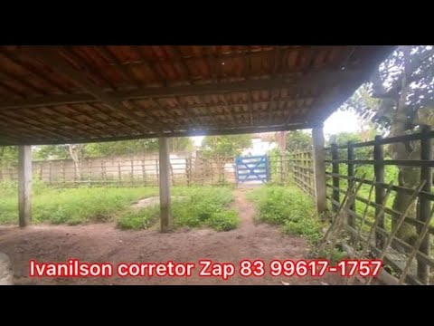 SÍTIO Á VENDA 12 HECTARES REMÍGIO PB ZAP 83 9 9617-1757 IVANILSON CORRETOR 