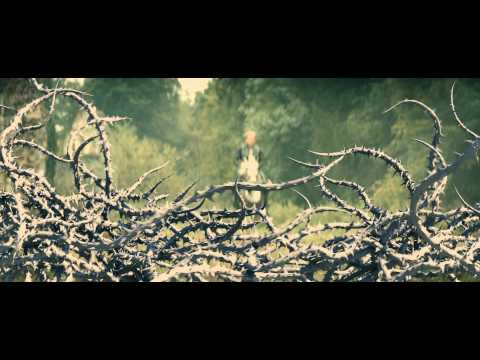 MPC Into the Woods VFX breakdown