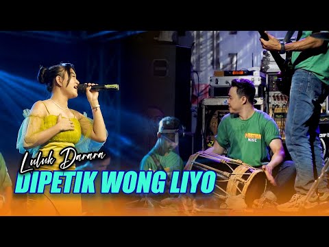 DIPETIK WONG LIYO - LULUK DARARA ||  MUSTIKA MUSIK ll SUNAN KENDANG ll
