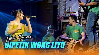 Download lagu DIPETIK WONG LIYO - LULUK DARARA ||  MUSTIKA MUSIK ll SUNAN KENDANG ll mp3