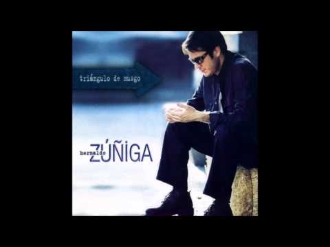 Ese Inmenso Vacío - Hernaldo Zúñiga