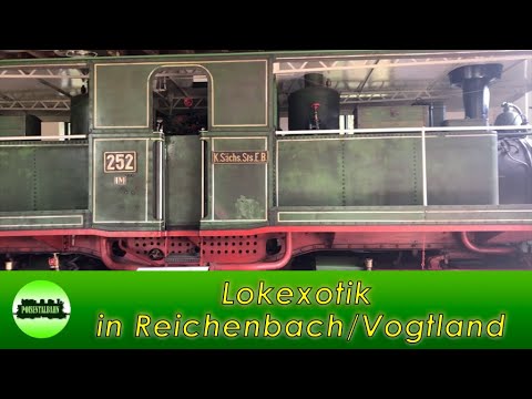 (39) Lokexotik in Reichenbach/Vogtland