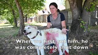 “Where there is ruin, there is hope for treasure”