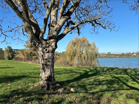 Monterosi (VT) - LA CITTÀ E IL SUO LAGO