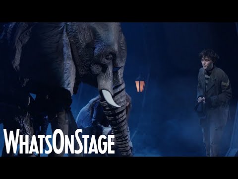 The Magician's Elephant musical | 2021 footage trailer