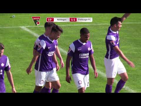 Die Torshow der Partie FCN - Freiburger FC  2 : 2 (1:1) ...