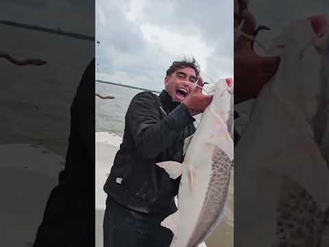 HERMOSO PATI EN VILLA CONSTITUCIÓN 🔥 - SANTA FÉ #pesca #fishing #fish