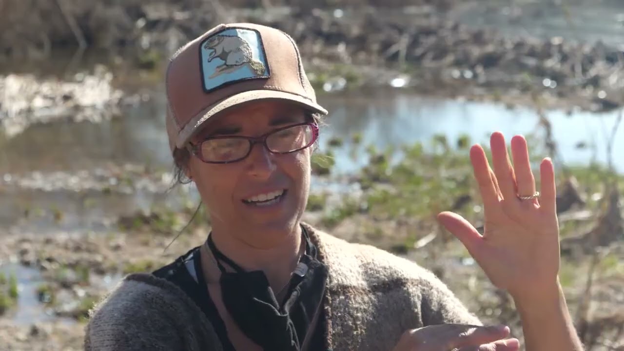 SLO Beaver Brigade: Why Beavers?