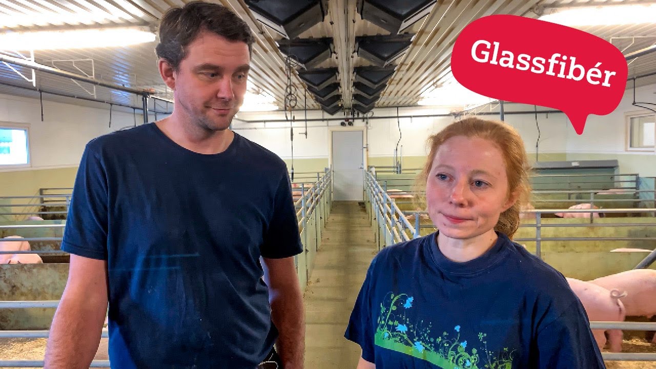 Glassfiberinnredning i grisefjøset