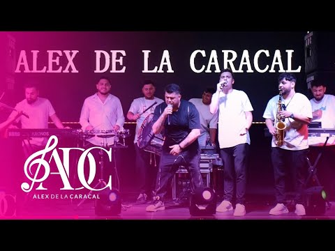 Alex de la Caracal - Fă nebuna mea Meneaito LIVE 2025 ( Cover )