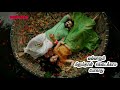 Padagottum Pattama Chinnavar Prabhu Kasthuri Ilayaraja WhatsApp Status Love Songs Status Prabhu Hits