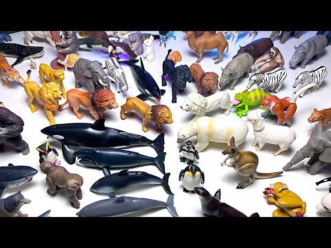 Takara Tomy Sea Animals & Animals - Orca, Whale, Penguin, Polar Bear, Seal, Turtle, Shark, Manta Ray