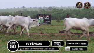 Vídeo LOTE 50