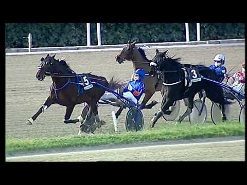 Trotto 27/12/2020 - 1ª corsa