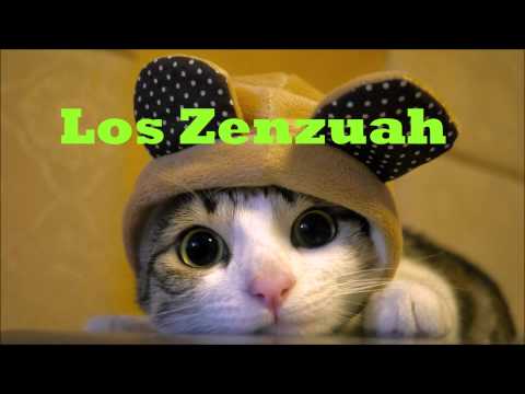 -Cat'sMusic- (Reverb sweet)