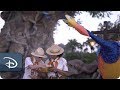 Sightings Of Kevin From Disney Pixar S Up Reported At Disney S Animal Kingdom