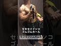 モフモフとムキムキのセキセイインコゴムゴムカール