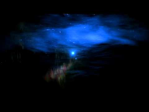 Cinnamon Chasers  - I Like Watching You