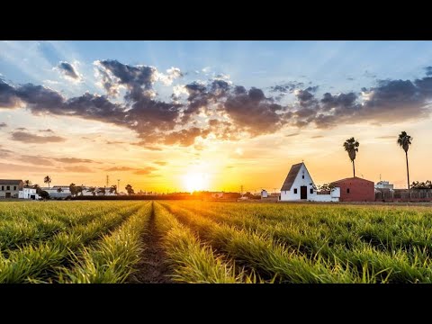 Documental (La Huerta Valenciana)