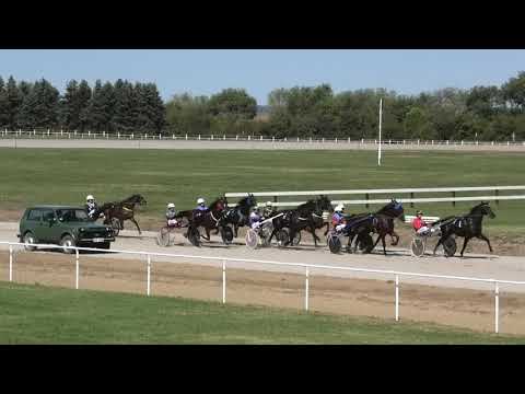 Trka "Paštrik" 29.09.2019 Serial Killer NP - Bojan Kečenović