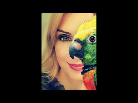 Magdalena Meisel - Pod Papugami