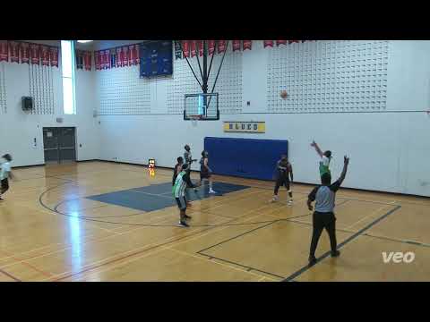 Toronto Raccoons vs LeBronto - sunday tier - tcbl 2022 fall