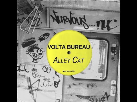 Volta Bureau-Alley Cat (Original Mix)