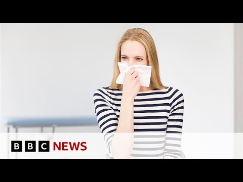 Scientists discover new 'potential goldmine' part of immune ...